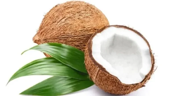 Coconut (নারকেল) ---1 pcs
