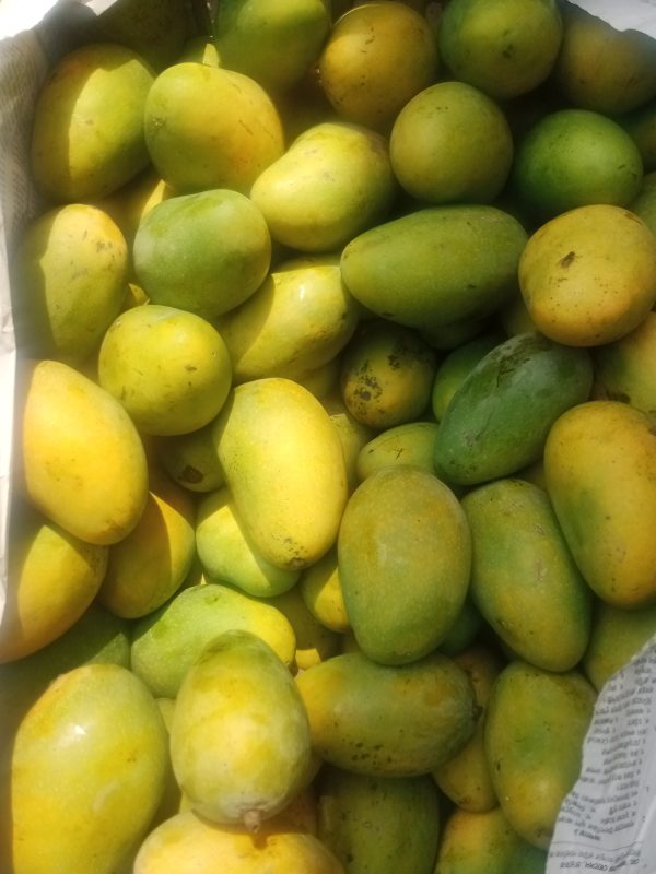 sodaisobsomoy.com